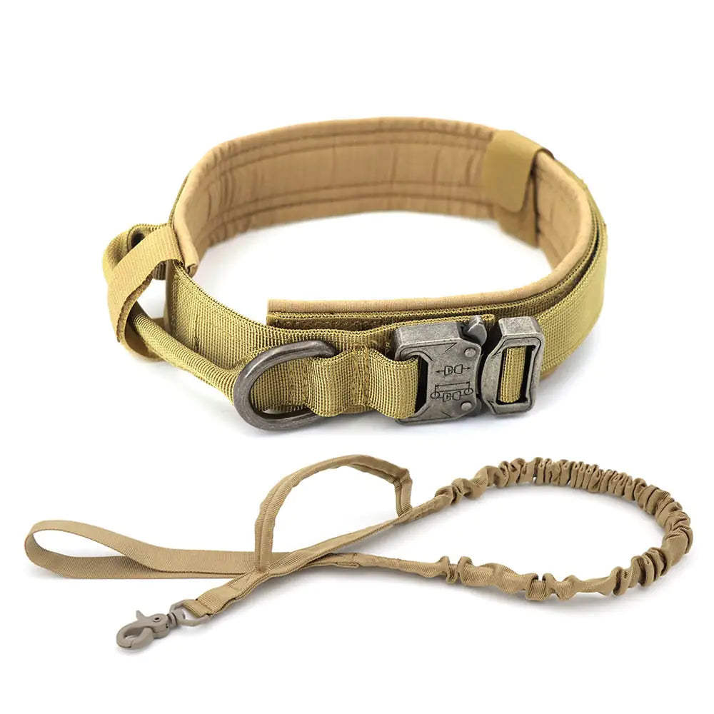 Stevige Honden Halsband