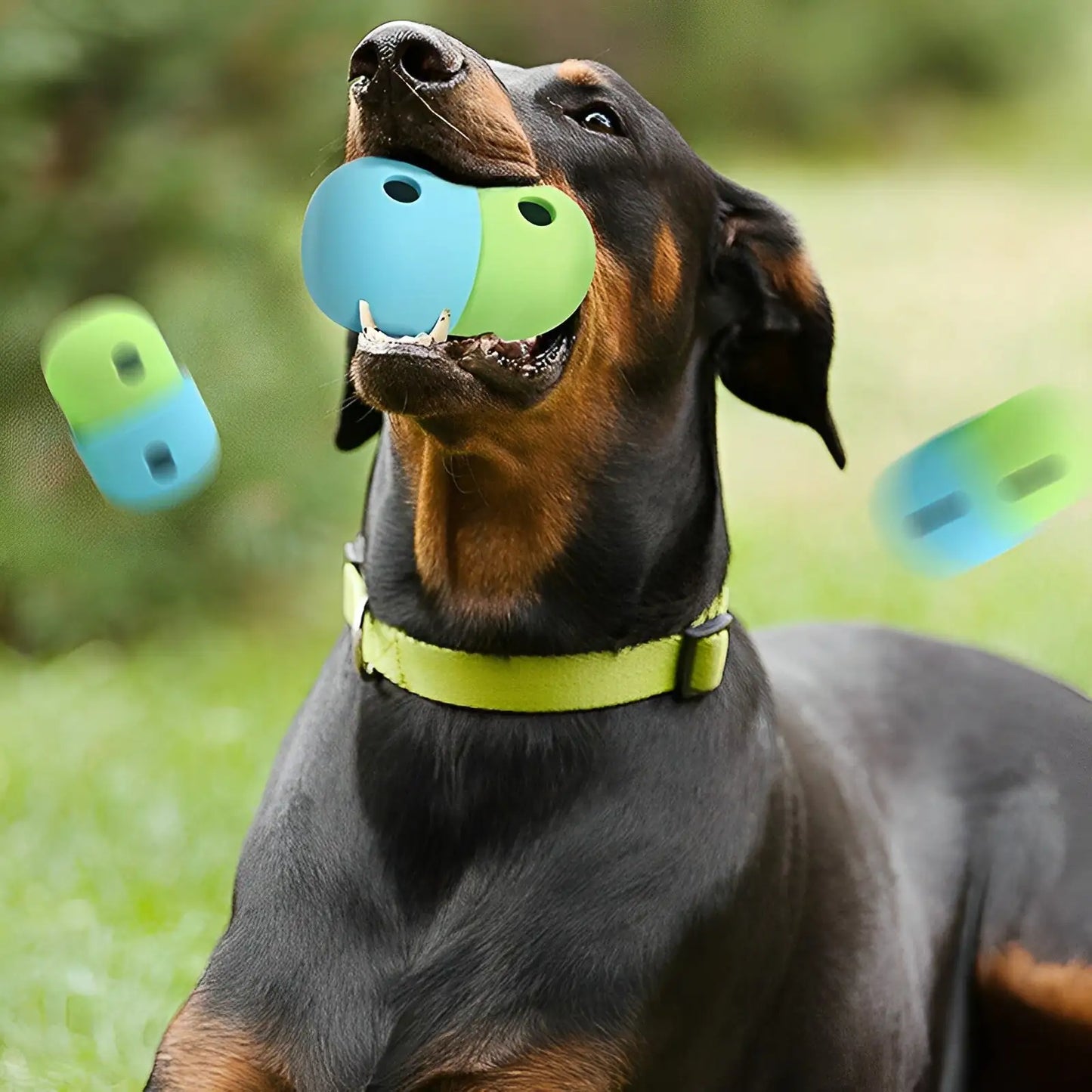 Intelligentie Voer Speeltje voor Honden