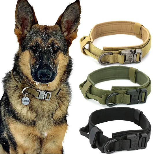 Stevige Honden Halsband